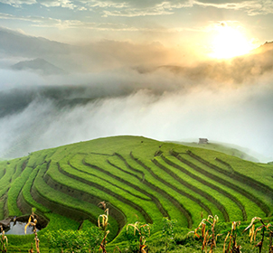 Hà Giang