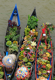 Các tour du lịch hoang dã và mạo hiểm