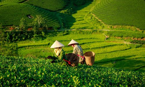 CT HAN04_01 HÀ NỘI – SAPA 4 NGÀY 3 ĐÊM