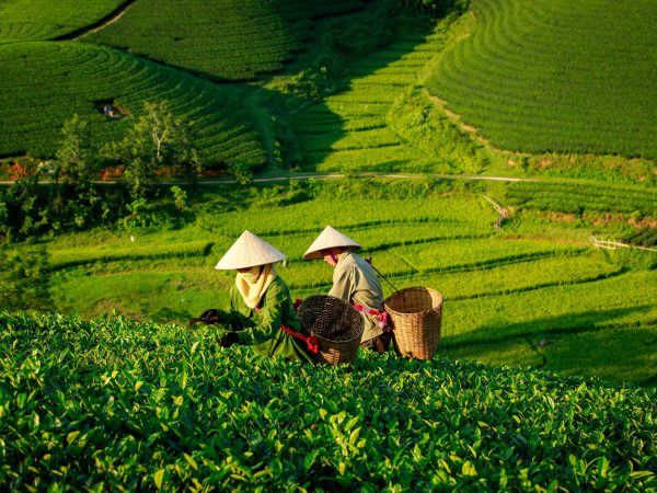 CT HAN04_01 HÀ NỘI – SAPA 4 NGÀY 3 ĐÊM