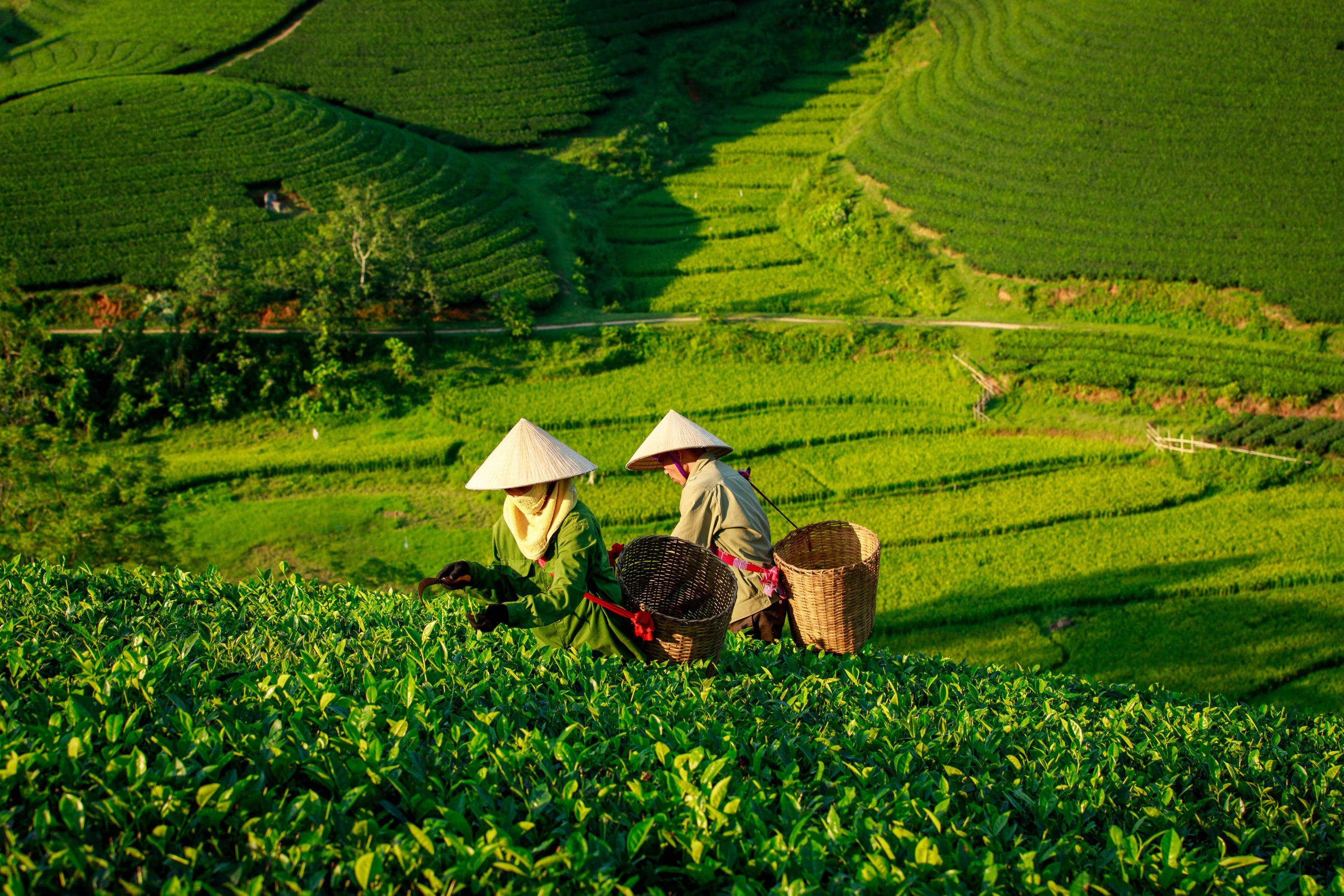 Nghệ An
