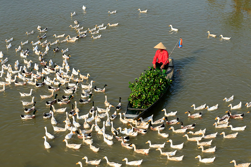 Miền Tây