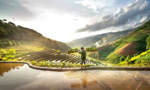 OPTION 01: Cẩm Thanh – Phố cổ Hội An
