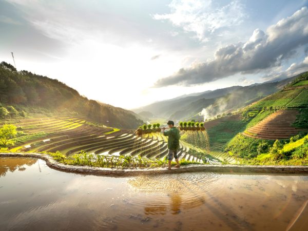 OPTION 01: Cẩm Thanh – Phố cổ Hội An