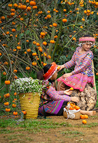 Các hoạt động ngoài trời