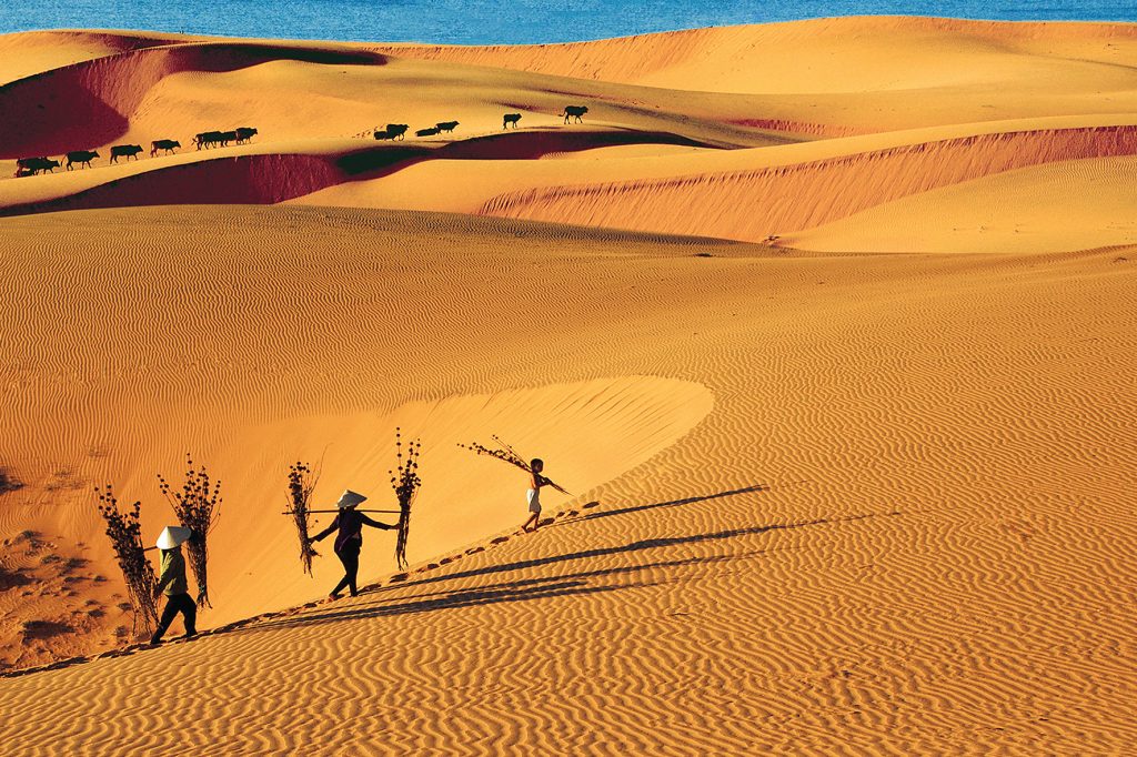 SÀI GÒN – PHAN THIẾT – MŨI NÉ 3 NGÀY 2 ĐÊM