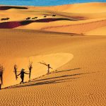 SÀI GÒN – PHAN THIẾT – MŨI NÉ 3 NGÀY 2 ĐÊM