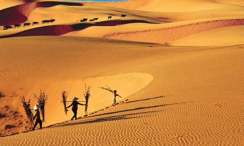 SÀI GÒN – PHAN THIẾT – MŨI NÉ 3 NGÀY 2 ĐÊM