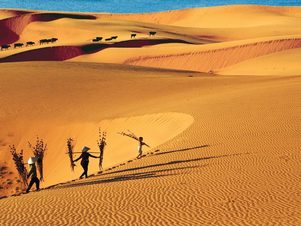 SÀI GÒN – PHAN THIẾT – MŨI NÉ 3 NGÀY 2 ĐÊM